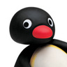 pingoooの gravatar icon