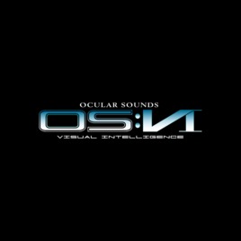OS : VI 視覺情報