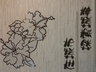 鹽巴妹子的 gravatar icon