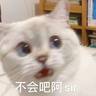 阿尾的 gravatar icon