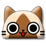 hasi429的 gravatar icon