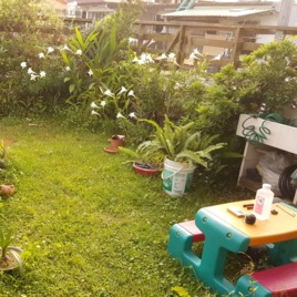 綠屋頂學校