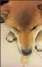 Jie-Jyun的 gravatar icon