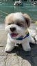 油油的 gravatar icon