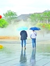 抱著鯊鯊的夏雨的 gravatar icon