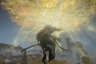 perseus_su's gravatar icon