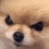 蕉蕉's gravatar icon