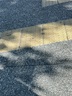 詹靖浩's gravatar icon