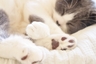 Jessie的 gravatar icon
