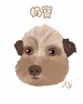 sharon的 gravatar icon