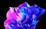 birdiemao的 gravatar icon