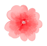 angelscs的 gravatar icon