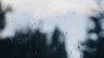 Fish的 gravatar icon
