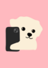 Irene Lee的 gravatar icon