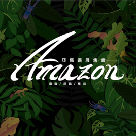 亞馬遜