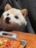 Qubei的 gravatar icon