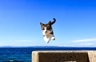 peichin84的 gravatar icon