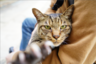 inari's gravatar icon