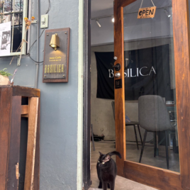 巴西利卡藝文生活工作室