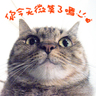smile的 gravatar icon