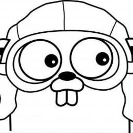 Golang Taiwan