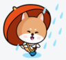 RainDog 雨狗的 gravatar icon