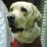 Erin's gravatar icon