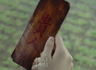 Alex✨的 gravatar icon