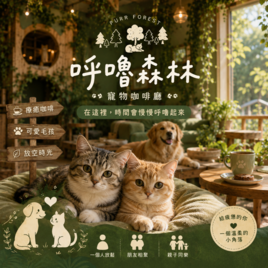 呼嚕森林