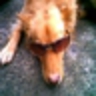 coldman的 gravatar icon