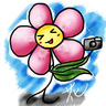 小花的 gravatar icon