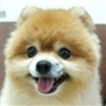 mrkt的 gravatar icon