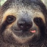 Morphy的 gravatar icon
