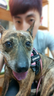 Jesse的 gravatar icon