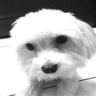 ellen53的 gravatar icon