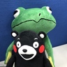 Andy Panの gravatar icon